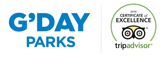 gday & tripadvisor
